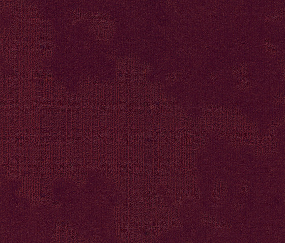 Velvet& 346 | Carpet tiles | modulyss