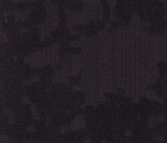Velvet& 483 | Carpet tiles | modulyss