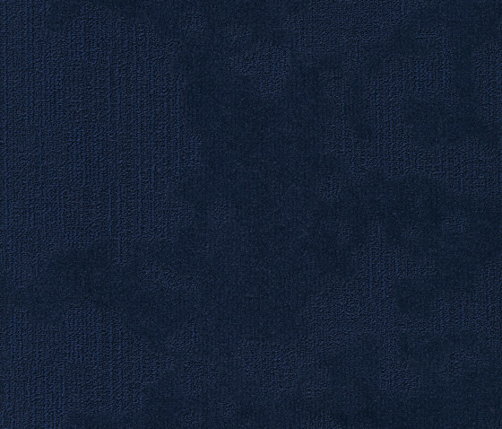 Velvet& 550 | Carpet tiles | modulyss