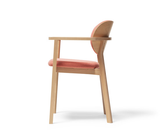 Santiago Dining Chair | Sillas | TON A.S.