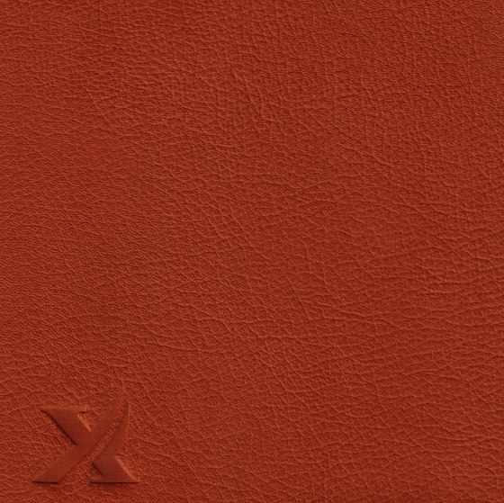 BARON 39200 Ayers Rock | Vero cuoio | BOXMARK Leather GmbH & Co KG