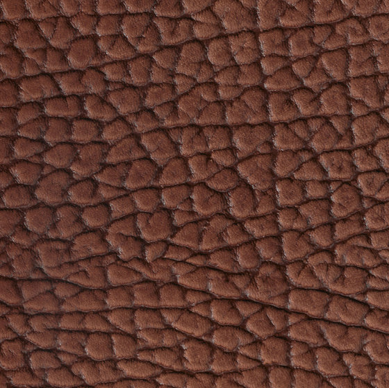 EMOTIONS Bisonte | Natural leather | BOXMARK Leather GmbH & Co KG