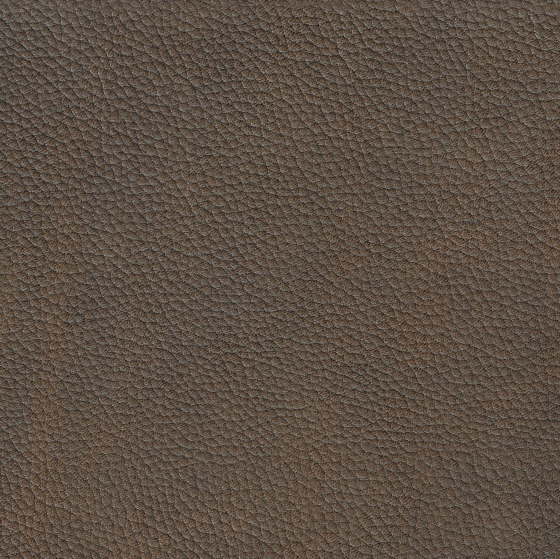 EMOTIONS Dollarino | Natural leather | BOXMARK Leather GmbH & Co KG
