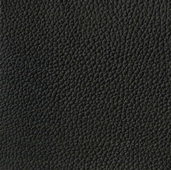 EMOTIONS Faina | Cuir naturel | BOXMARK Leather GmbH & Co KG