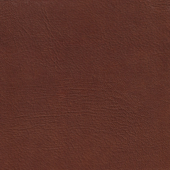EMOTIONS Madras Piccolo | Vero cuoio | BOXMARK Leather GmbH & Co KG