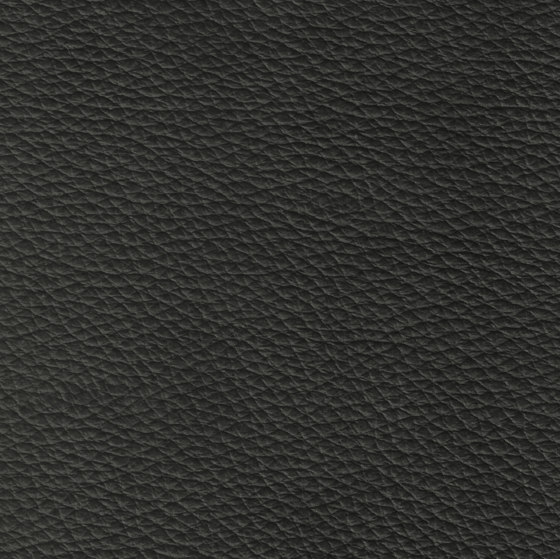EMOTIONS Roma | Natural leather | BOXMARK Leather GmbH & Co KG