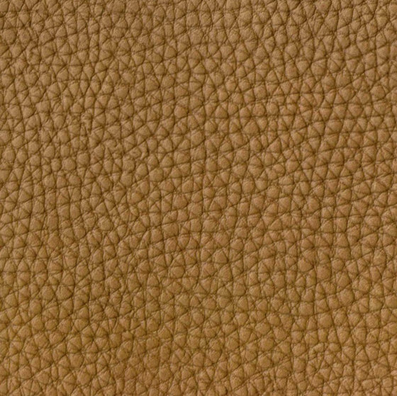 EMOTIONS Savana | Natural leather | BOXMARK Leather GmbH & Co KG