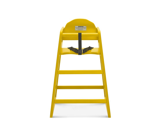 MDT-9970 chair | Kids highchairs | Fameg