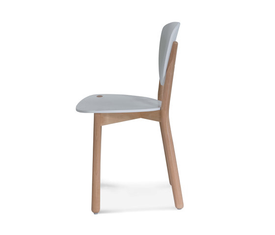 A-1702 chair | Chairs | Fameg