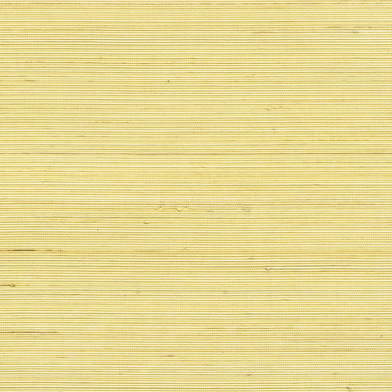 Coiba RM 110 60 | Revêtements muraux / papiers peint | Elitis