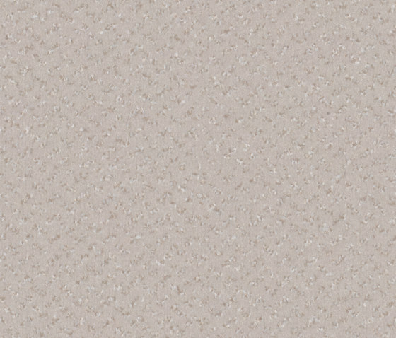 Allegro 6C40 | Wall-to-wall carpets | Vorwerk