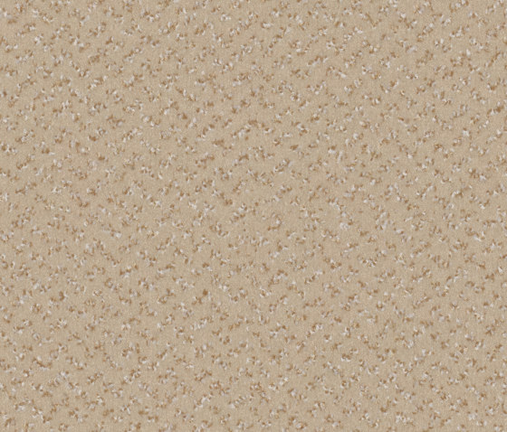 Allegro 8E74 | Wall-to-wall carpets | Vorwerk