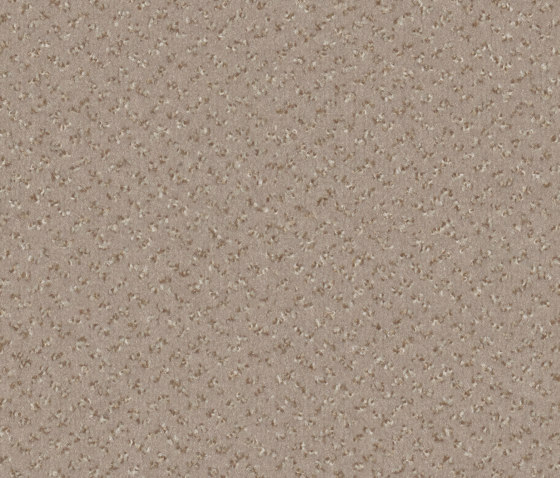Allegro 8H57 | Wall-to-wall carpets | Vorwerk