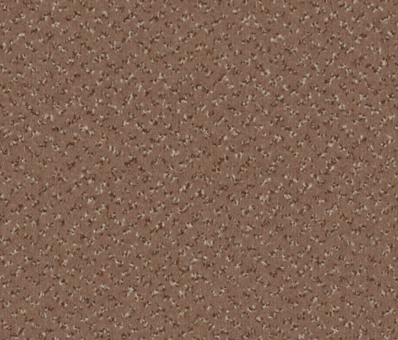 Allegro 8H58 | Wall-to-wall carpets | Vorwerk