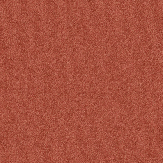 Hermelin 1L37 | Wall-to-wall carpets | Vorwerk