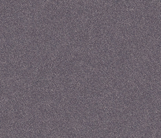 Hermelin 5N33 | Wall-to-wall carpets | Vorwerk
