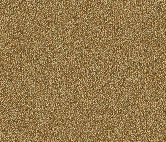 Lyrica 2D72 | Wall-to-wall carpets | Vorwerk