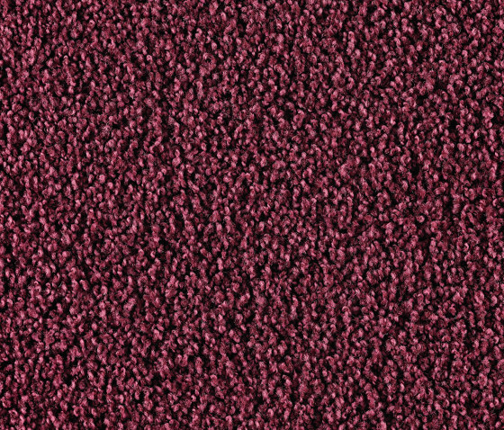 Elara 1K87 | Wall-to-wall carpets | Vorwerk
