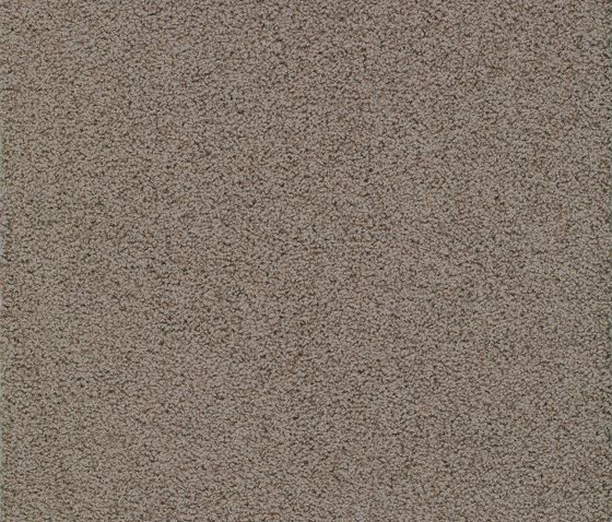 Elara 8G81 | Wall-to-wall carpets | Vorwerk