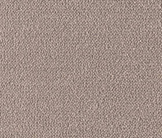 Valora  5S54 | Wall-to-wall carpets | Vorwerk