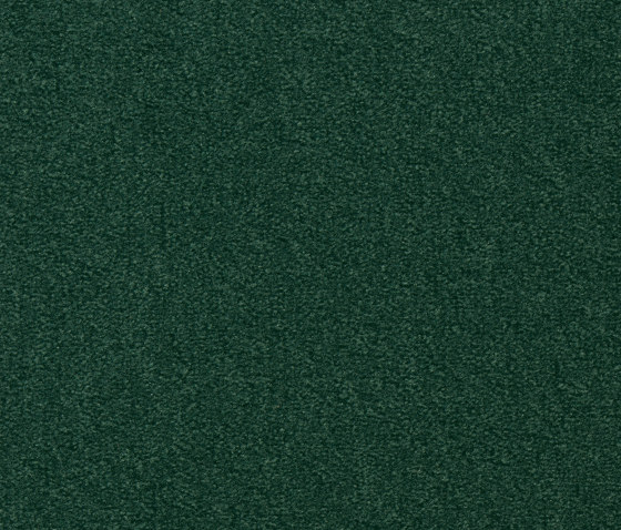 Superior 1013 | Wall-to-wall carpets | Vorwerk
