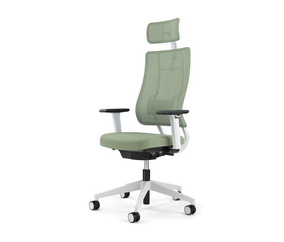 Newback Executive chair | Office chairs | Viasit