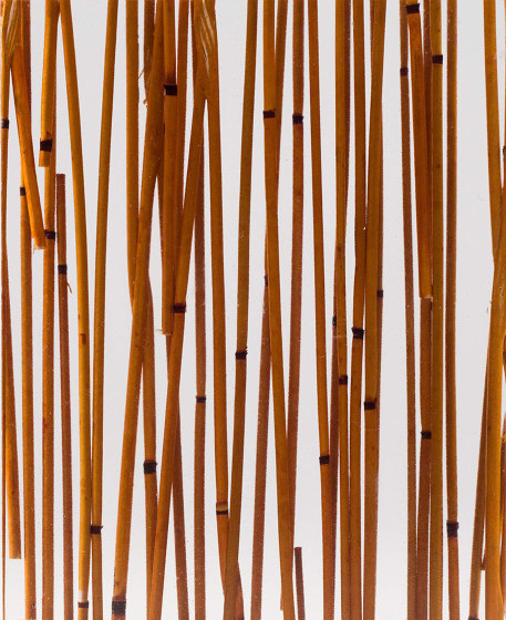 Invision bamboo curry | Plaques en matières plastiques | DesignPanel