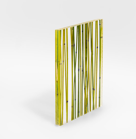 Invision bamboo green yellow | Lastre plastica | DesignPanel