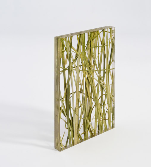 Invision beargrass | Planchas de plástico | DesignPanel