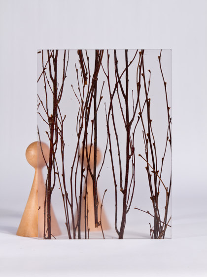 Invision birch | Plaques en matières plastiques | DesignPanel