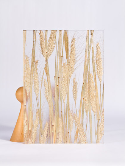 Invision corn | Plaques en matières plastiques | DesignPanel