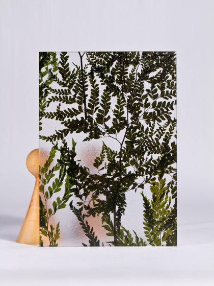 Invision fern | Kunststoff Platten | DesignPanel