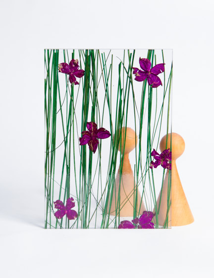 Invision flowerfield | Plaques en matières plastiques | DesignPanel