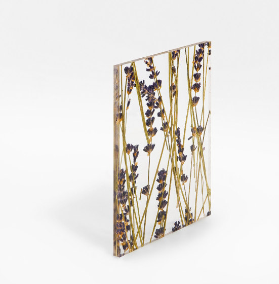Invision lavender | Kunststoff Platten | DesignPanel