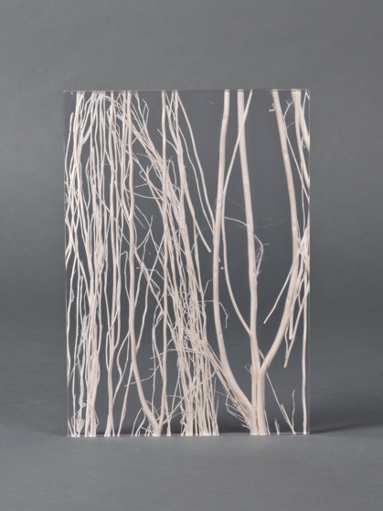 Invision twigs white | Kunststoff Platten | DesignPanel