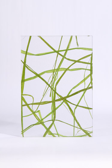 Invision weed green | Plaques en matières plastiques | DesignPanel