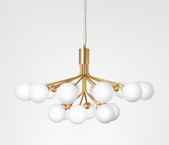 Apiales 18 Brushed Brass | Suspended lights | Nuura