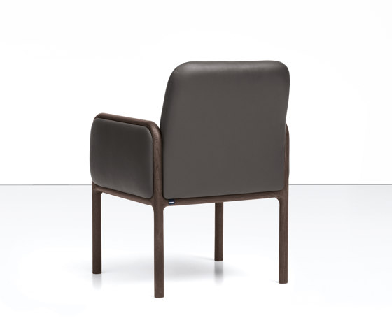 CAMEO CONTRACT_88-12/1F | Chaises | Piaval