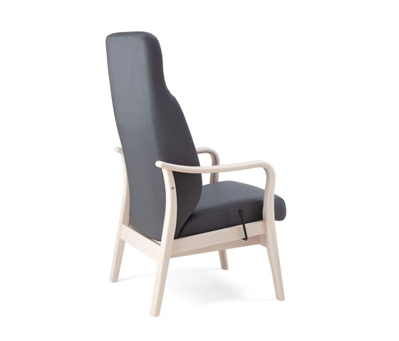 RELAX ELEGANCE_16-62/1R | Armchairs | Piaval
