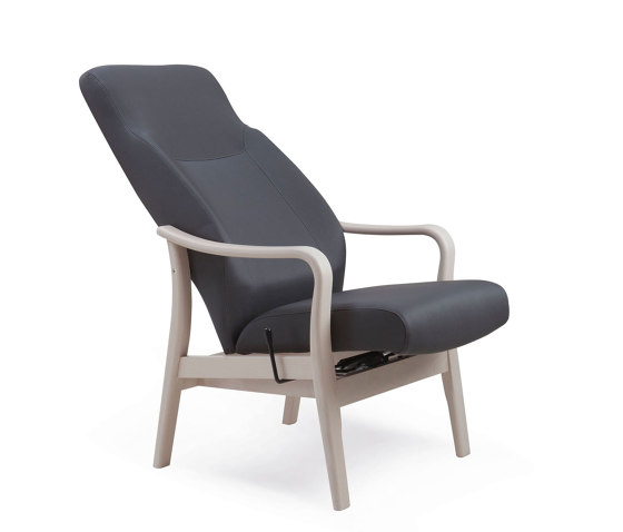 RELAX ELEGANCE_16-62/1R | Sillones | Piaval