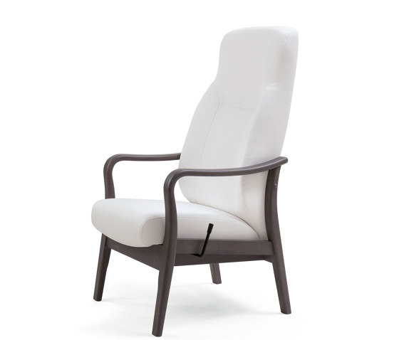 RELAX ELEGANCE_16-62/1RG | Sillones | Piaval