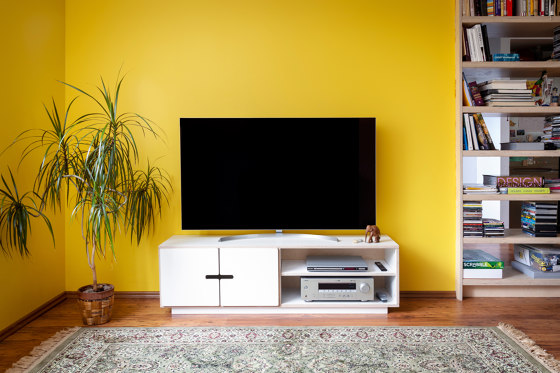 TV-stand PIX with 2 doors | Media Schränke & Trolleys | Radis Furniture
