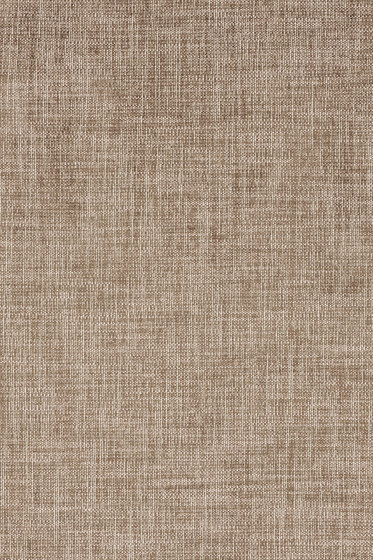 Maple - 0352 | Tejidos tapicerías | Kvadrat