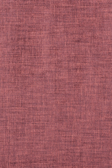 Maple - 0662 | Upholstery fabrics | Kvadrat