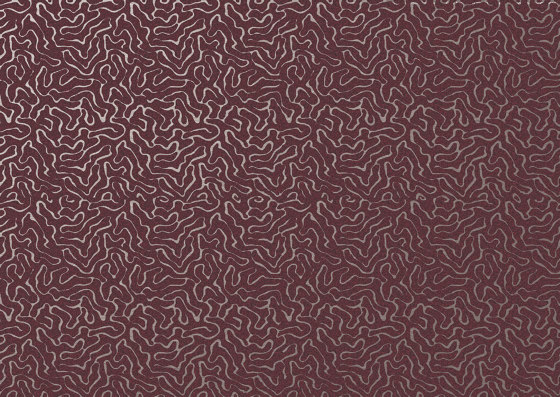 Moebius | Arte | Wall&decò