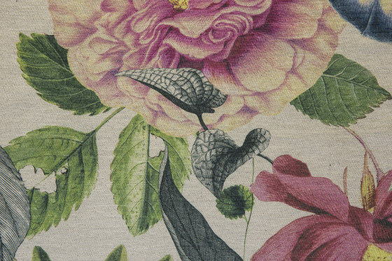Interfloral 703 | Tessuti decorative | Fischbacher 1819