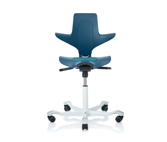 HÅG Capisco Puls 8010 | Office chairs | Flokk