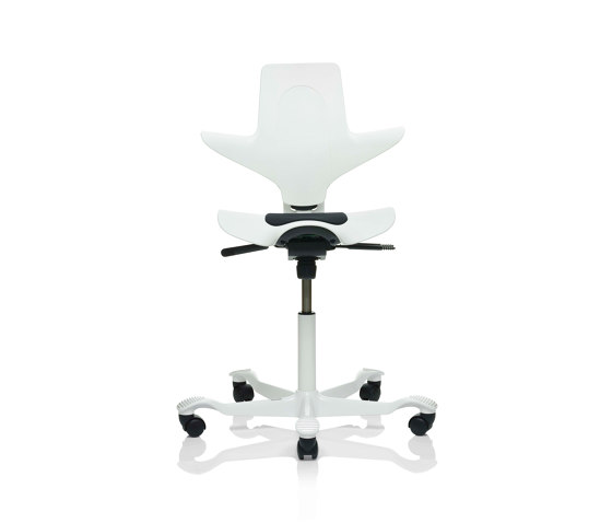 HÅG Capisco Puls 8010 | Office chairs | Flokk