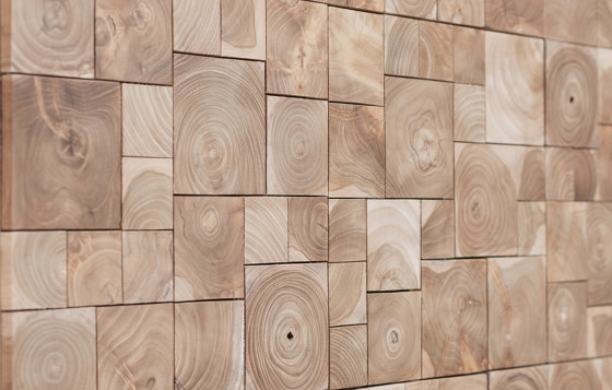 Coast | Wood panels | Wonderwall Studios