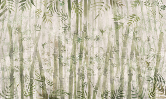 Bamboo | Revestimientos de paredes / papeles pintados | WallPepper/ Group